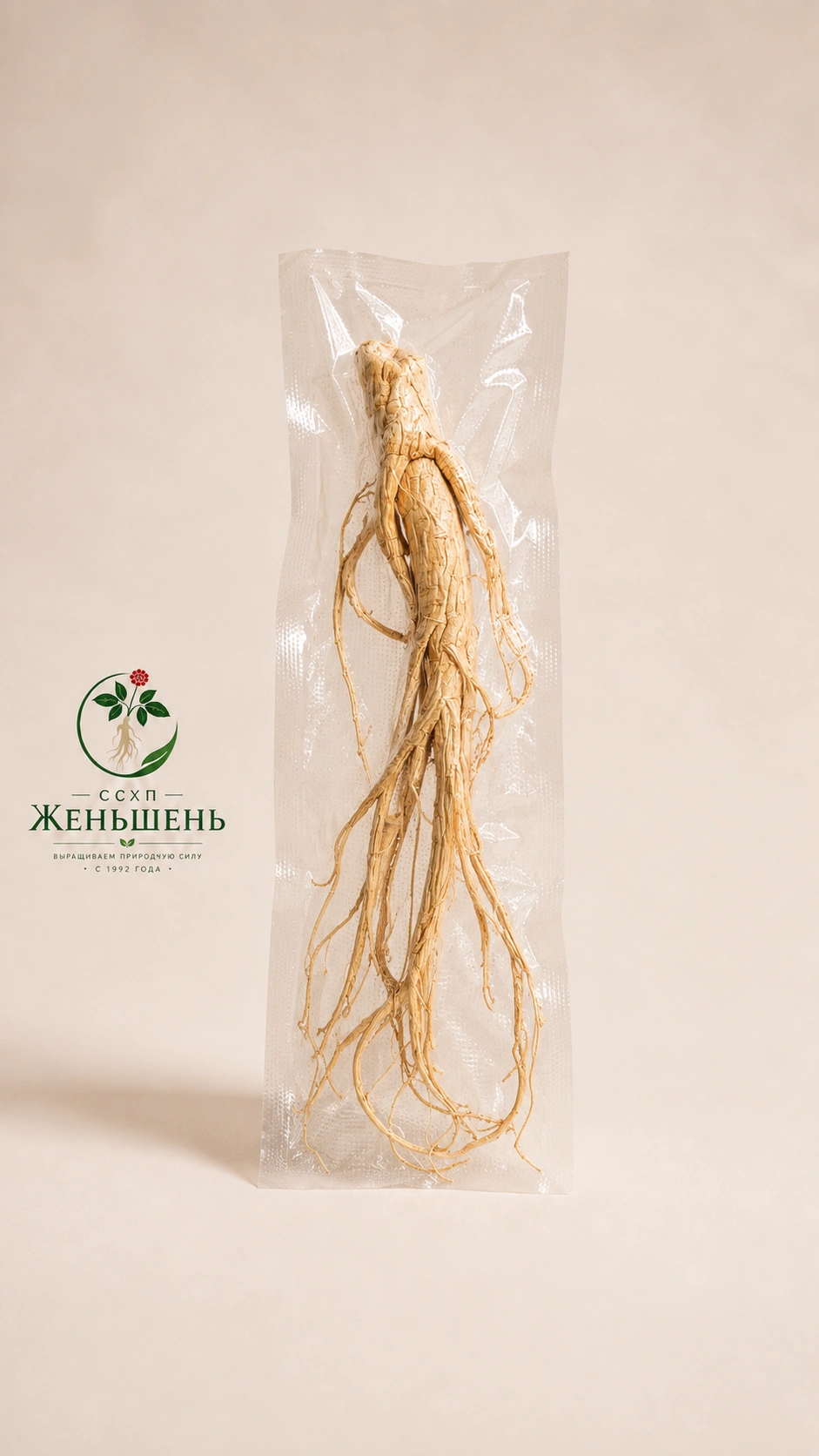 Сушеный корень женьшеня целый